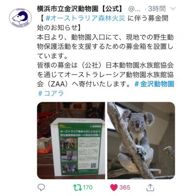 金沢動物園ツイッター